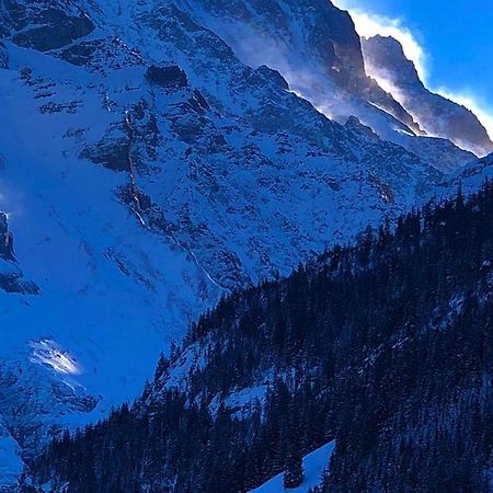 Romantisches Plaetzchen In Der Natur Grindelwald Dış mekan fotoğraf