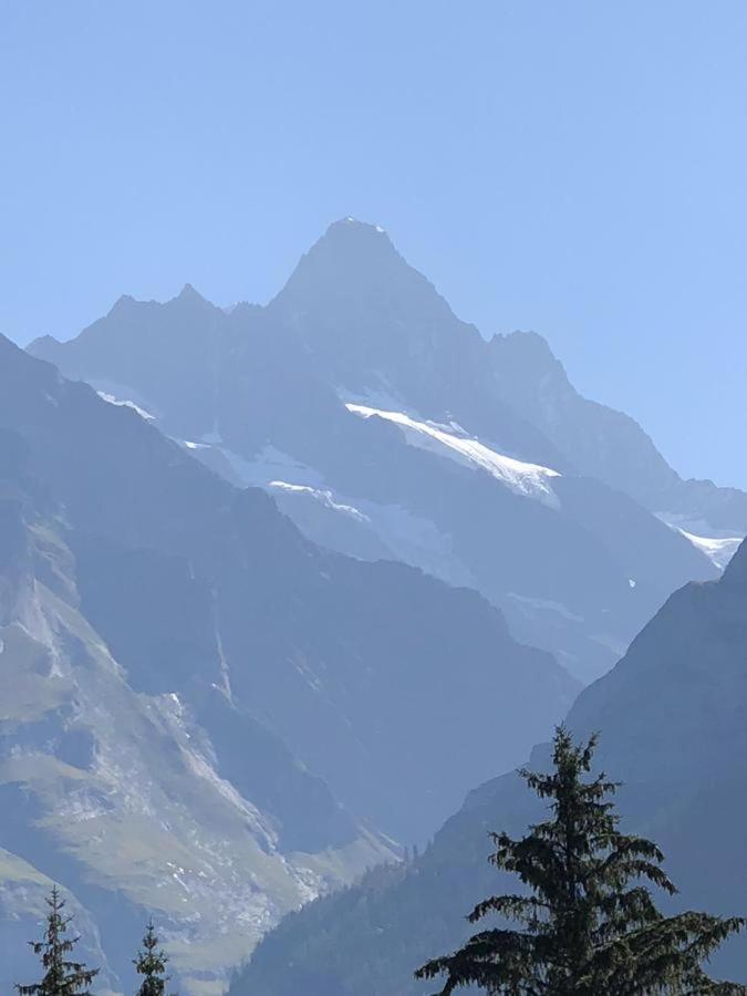 Romantisches Plaetzchen In Der Natur Grindelwald Dış mekan fotoğraf