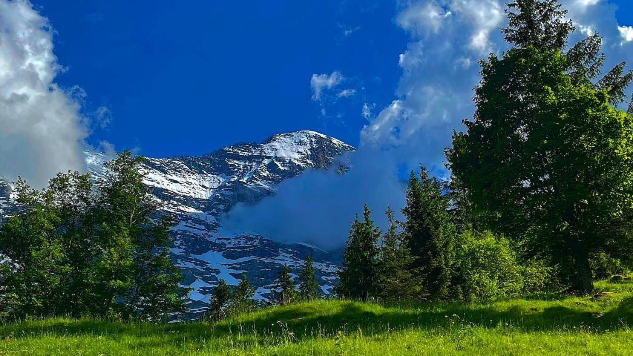 Romantisches Plaetzchen In Der Natur Grindelwald Dış mekan fotoğraf