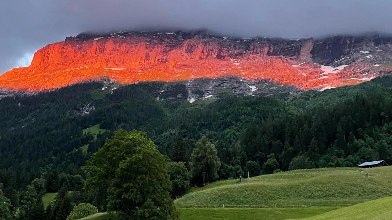 Romantisches Plaetzchen In Der Natur Grindelwald Dış mekan fotoğraf