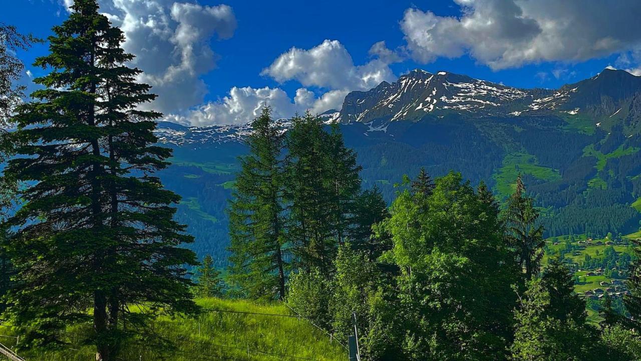 Romantisches Plaetzchen In Der Natur Grindelwald Dış mekan fotoğraf