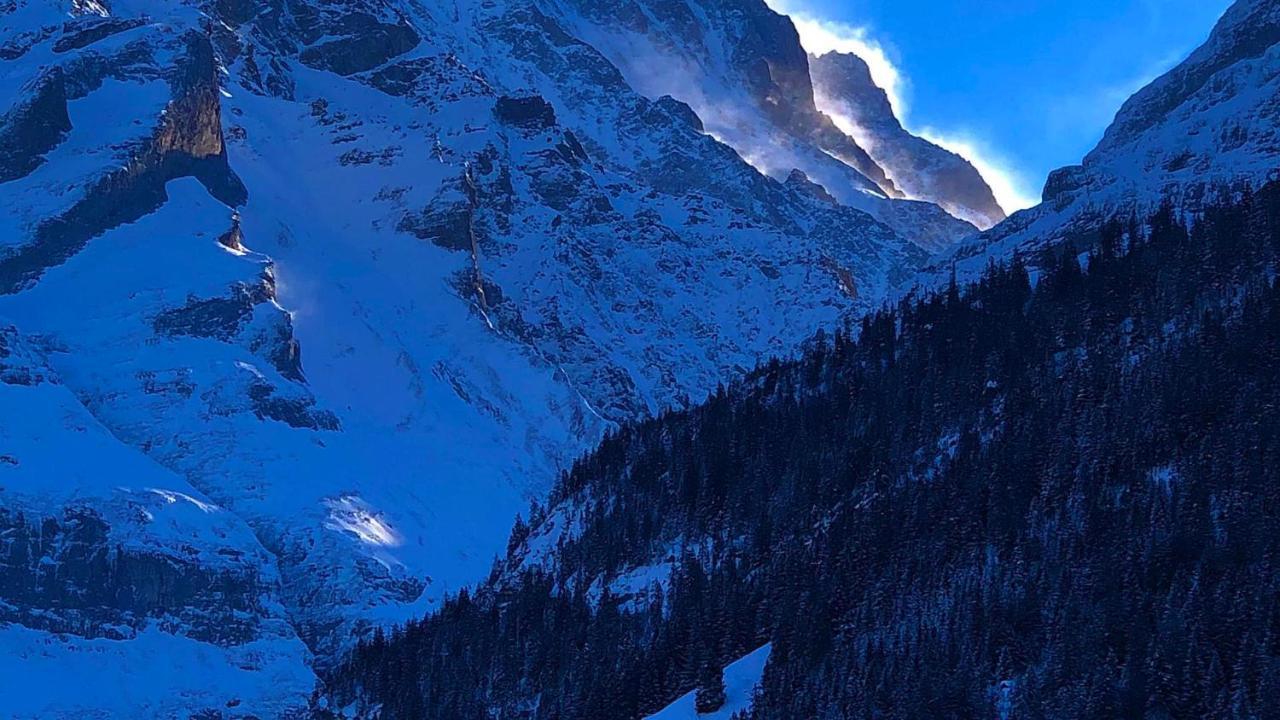 Romantisches Plaetzchen In Der Natur Grindelwald Dış mekan fotoğraf