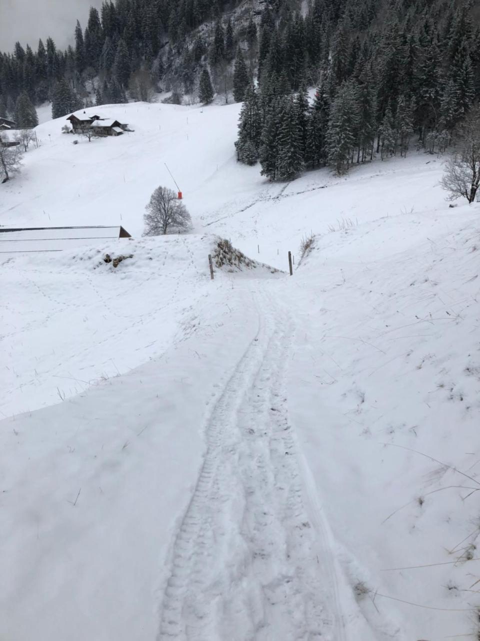 Romantisches Plaetzchen In Der Natur Grindelwald Dış mekan fotoğraf