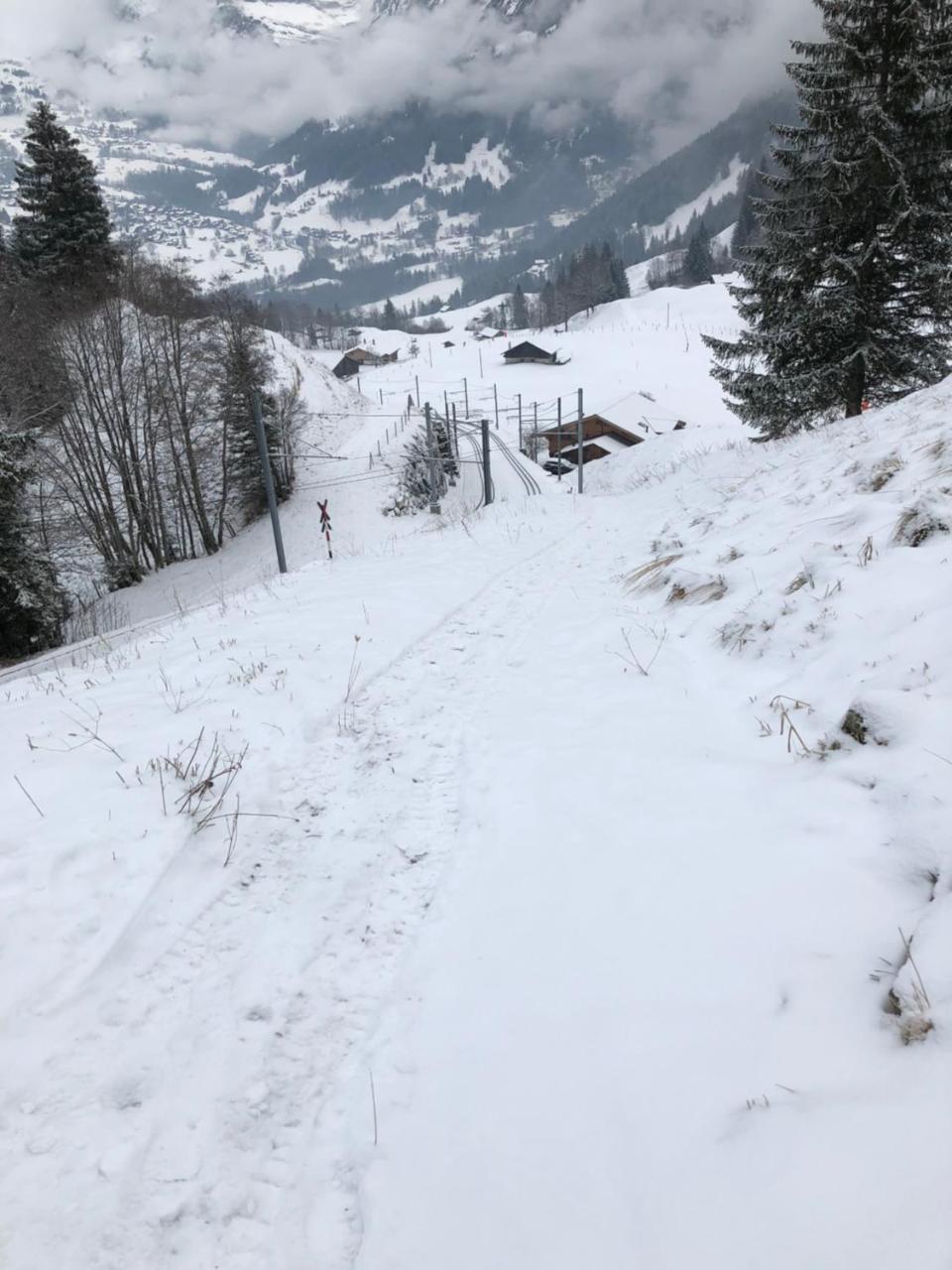 Romantisches Plaetzchen In Der Natur Grindelwald Dış mekan fotoğraf