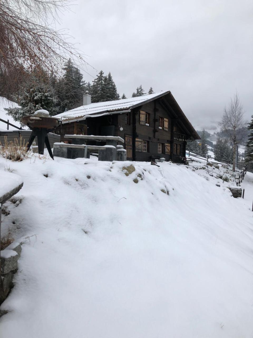 Romantisches Plaetzchen In Der Natur Grindelwald Dış mekan fotoğraf