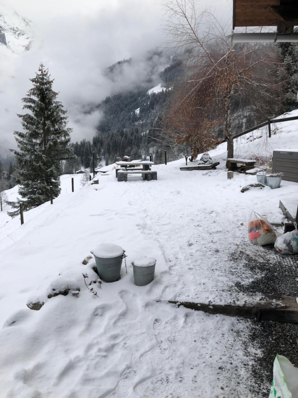 Romantisches Plaetzchen In Der Natur Grindelwald Dış mekan fotoğraf
